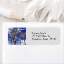 Pesquisar por palmtree Florida