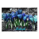 Pesquisar por sangue azul pôsteres Primavera