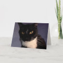 Pesquisar por costume party cartoes Qualquer pessoa