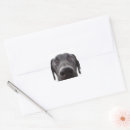 Pesquisar por cara preta do adesivos Cão
