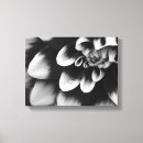 Pesquisar por pétalas e flores impressão de canvas Preto