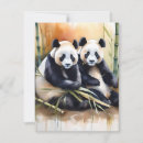 Pesquisar por urso panda cartoes Zoo