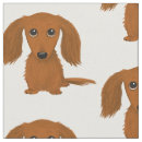 Pesquisar por cão salsicha artesanato material Doxie