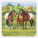Pesquisar por cavalo appaloosa adesivos Appaloosas