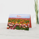 Pesquisar por funny easter cartoes Colorful