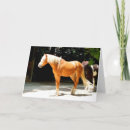 Pesquisar por casaco cartoes Branco