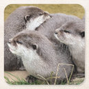 Pesquisar por otter porta copos Fofofo