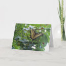 Pesquisar por trust me cartoes Qualquer pessoa