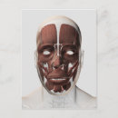 Pesquisar por boca humana cartoes postais Ilustrações biomédicas