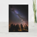 Pesquisar por bispo cartoes Danita delimont