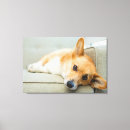 Pesquisar por dog impressão de canvas Pet