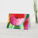 Pesquisar por ostern cartoes Tulpen