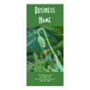 Pesquisar por natureza panfletos Papoila