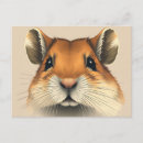 Pesquisar por gerbil cartoes postais Roedor