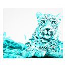 Pesquisar por leopardo azul pôsteres Turquesa