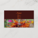 Pesquisar por susan fotografia Natureza