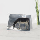 Pesquisar por spirit cartoes Animal