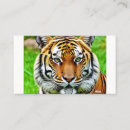 Pesquisar por tigre cartao de visita Predador