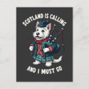 Pesquisar por scottish cartoes postais Sabichona