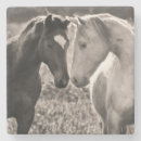 Pesquisar por cavalo preto porta copos Cavalos