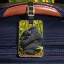 Pesquisar por gorila bagagem tags Animais selvagens