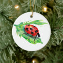 Pesquisar por insetos ornamentos Ladybug
