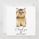 Pesquisar por yorkshire cartoes Yorkshire terrier dog