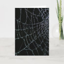 Pesquisar por arachnid cartoes Halloween