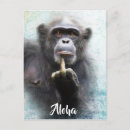 Pesquisar por macacos engraçados cartoes postais Macaco engraçado