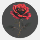 Pesquisar por dia mães rosas vermelhas adesivos Flores