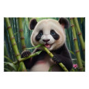 Pesquisar por pandas bonitos pôsteres Bambu