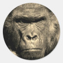 Pesquisar por de do gorila adesivos Animal selvagem