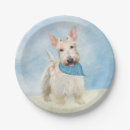 Pesquisar por dog pratos Azul