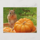 Pesquisar por happy thanksgiving cartoes postais Autumn