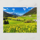 Pesquisar por dandelion cartoes postais Paisagem