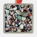 Pesquisar por concha ornamentos Oceano