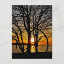 Pesquisar por anormais cartoes postais Anormal