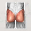 Pesquisar por músculos humanos cartoes postais Ilustração