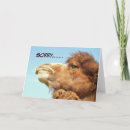 Pesquisar por camelos cartoes Foto