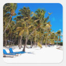 Pesquisar por key west adesivos Tropical
