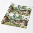 Pesquisar por lebre papel de presente Vida selvagem