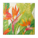 Pesquisar por tropical azulejos Botânica