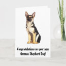 Pesquisar por cartões do german shepherd cartoes Animais de companhia