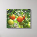 Pesquisar por tomate impressão de canvas Jardim