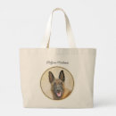Pesquisar por malinois Bélgica