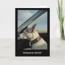 Pesquisar por jack russell terrier cartoes Jrt