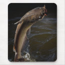 Pesquisar por carretel eletronicos Pesca