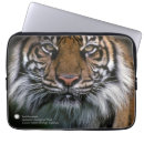 Pesquisar por smithsonian Animais