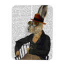 Pesquisar por colete imas Animais