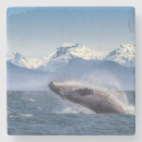 Pesquisar por baleia de humpback Náutico